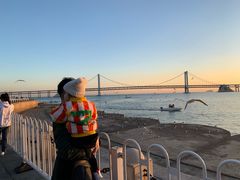 -星海湾跨海大桥