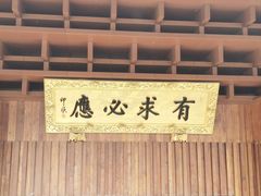 -深圳仙湖植物园