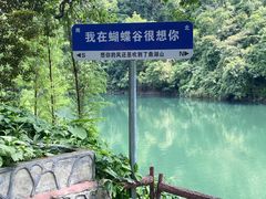 -鼎湖山风景区