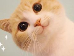 -德克士(宽甸店)