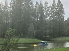 -黄海国家森林公园