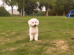 -艾溪湖湿地公园