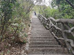 -梧桐山风景名胜区