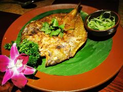香料烤鱼-花马天堂云南餐厅 Lost Heaven(高邮路店)