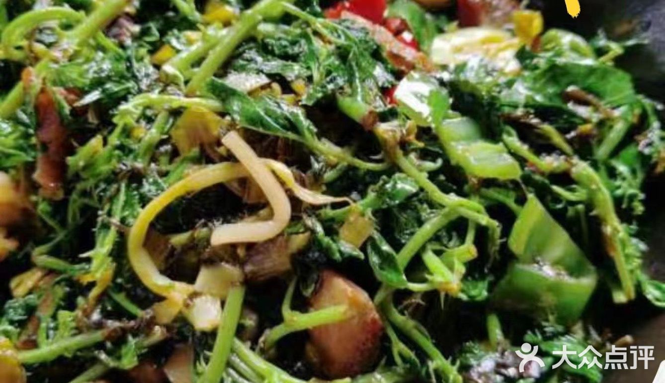高明老字号美食城园林式特色农家菜——园林美食城