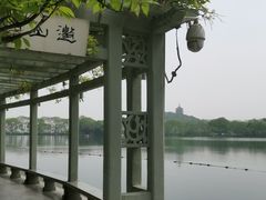 -西湖游船