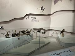 -长江文明馆