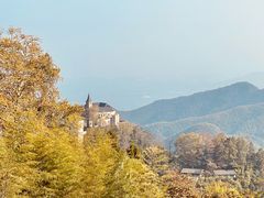 -莫干山风景区
