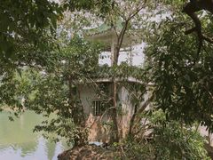 -广东温泉宾馆