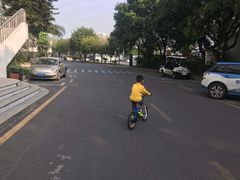 -深圳市体育中心体育馆主馆