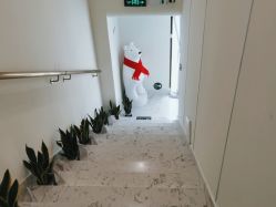 -海涛医疗美容·面部抗衰·注射美鼻