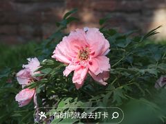 -北京市劳动人民文化宫