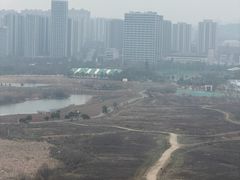 -洋湖国家湿地公园