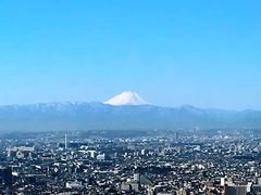 -东京都厅舍