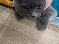 -荔康动物医院(康王北路店)