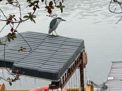 -听松楼·花园酒店·自助餐厅(红梅公园店)
