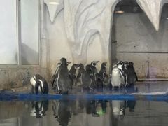 -太平洋海底世界