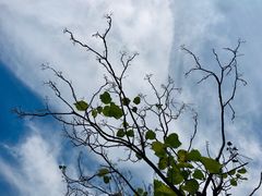 -白塘生态植物园