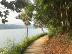 -广州市流溪河国家森林公园