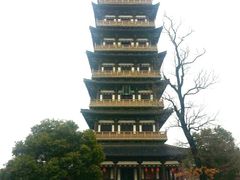 -陈记菜馆·非遗淮扬菜(东关街教场店)