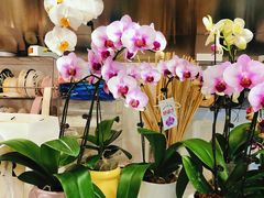 -花点时间(蓝色港湾店)