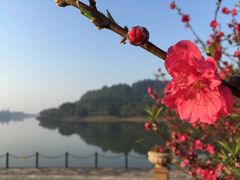 -南国桃园旅游度假区