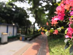-铁路文化公园