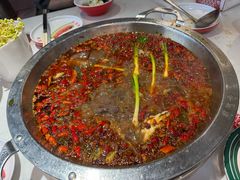 红锅锅底-蜀滋香鲜鱼美蛙火锅(339店)