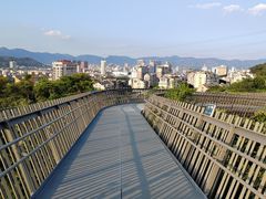 -福道