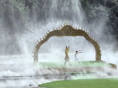 -西双版纳原始森林公园