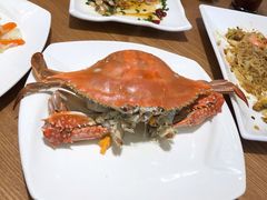 梭子蟹-洲晓鱻舟山海鲜(2号店)