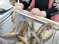 -华威西营里农产品批发市场