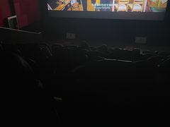 -华联影城(蒙城路店)