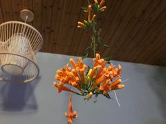 -厦门燕子坞客栈