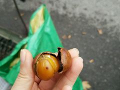 -陈记栗子(长宁路店)
