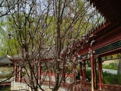 -北坞公园