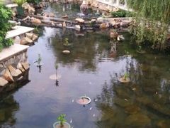 android_upload_pic-金汤湾海水温泉度假酒店