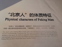 -北京周口店北京人遗址博物馆