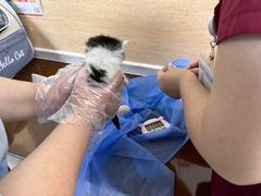 -美联众合动物医院·24h京西诊疗中心