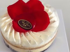 -PETIT PARIS 小巴黎(凯德1818店)