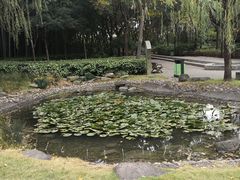 -苏州河梦清园环保主题公园