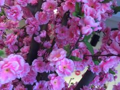 -厦门博饼民俗园