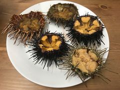 -海胆小馆(东北水饺·春柳店)