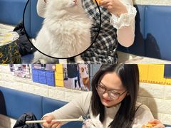 -平行世界·猫咖(首经贸店)