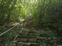 -老象峰