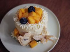 -EnergyCake蛋糕理想国