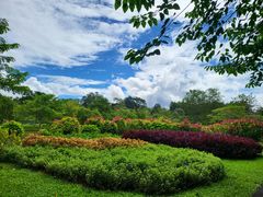 -中国科学院西双版纳热带植物园