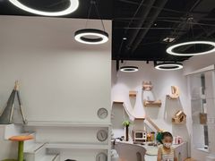-COLOR PETS 撸猫馆·购猫·猫咖(长风大悦城店)