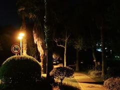-阿杰臻选海鲜饭店(普陀山店)