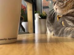 -叁秋咖啡 SANQIU COFFEE(天津河北路店)